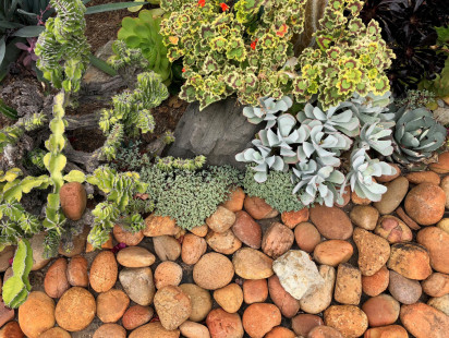 Mexican-Sunburst-Pebble-1-1