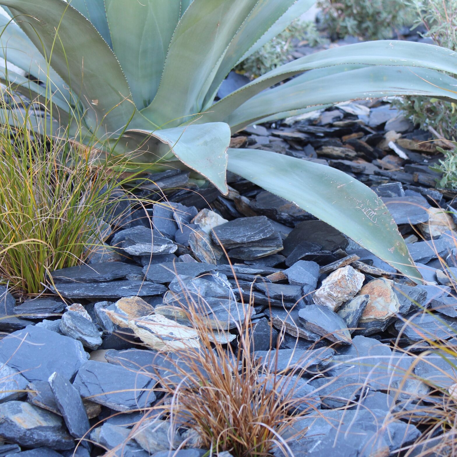 Carbon Slate Gallery