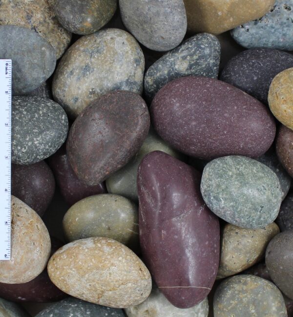 Polished Mixed Mexican Beach Pebble 2-3