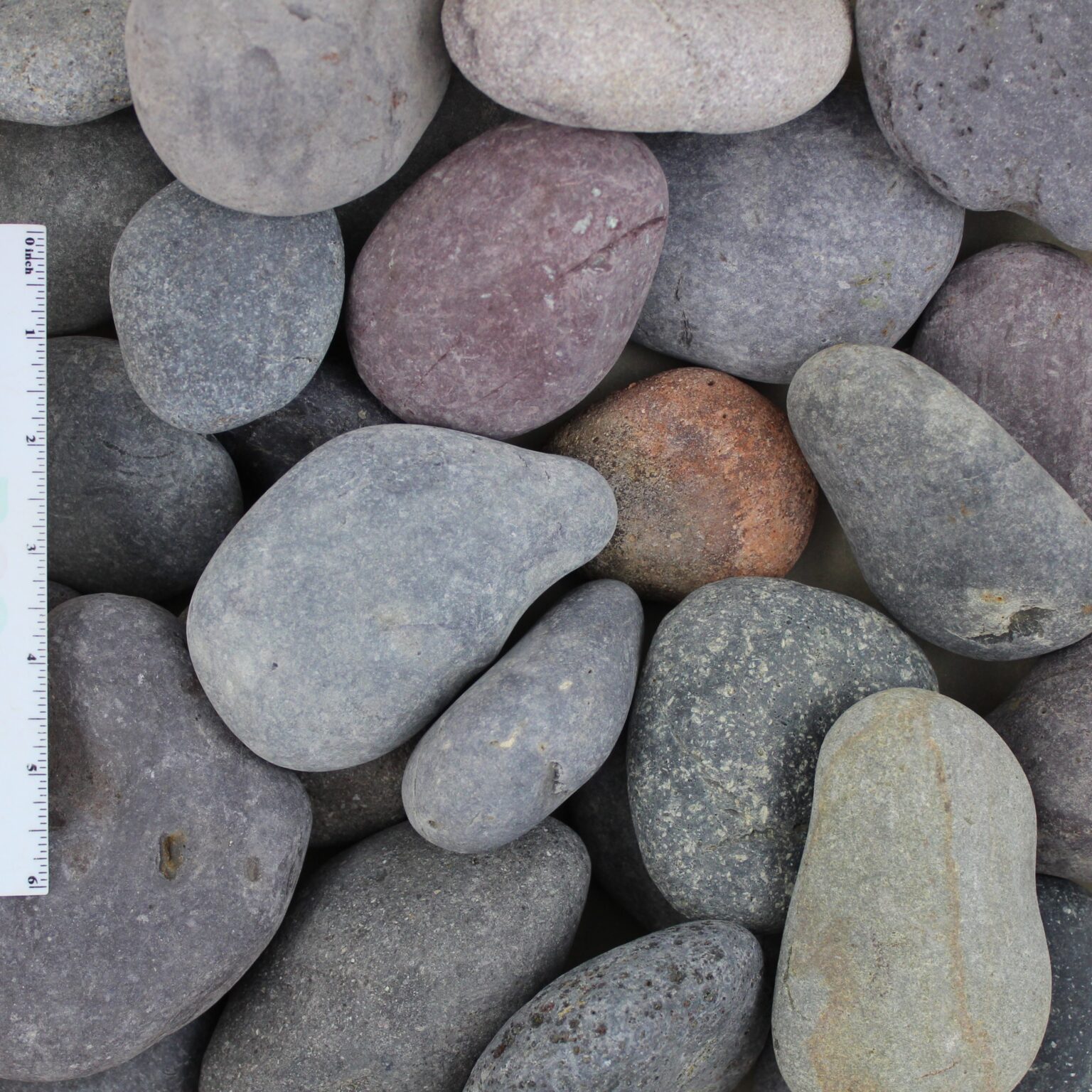 Buy Red Beach Pebbles: 2-3 Inch | WSS