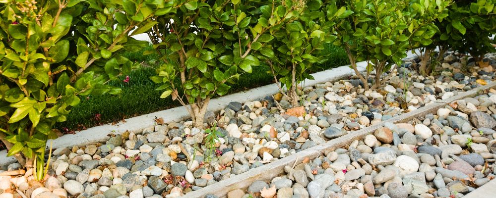 using Charcoal pebbles for Landscapers