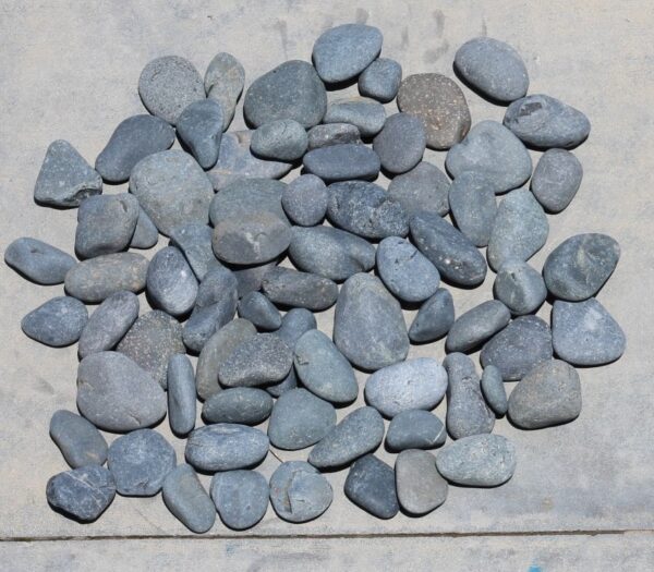 Black Mexican Beach Pebble Premium 1 to 2 inch - Wholesale Stone Solutions