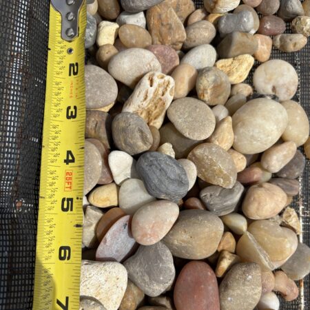 Salmon Bay Pebble 1/2"