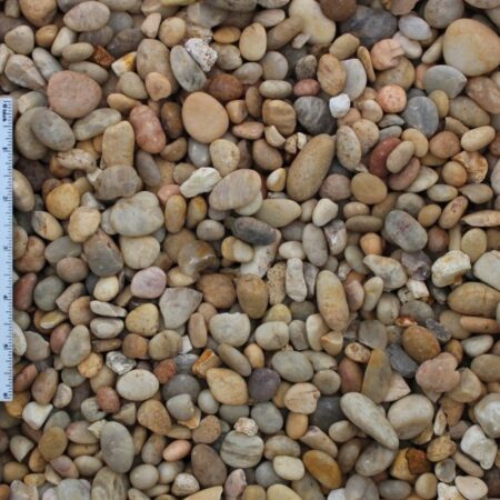 Salmon Bay 3/4" Pebble